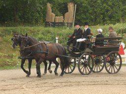 IMG_0728_web